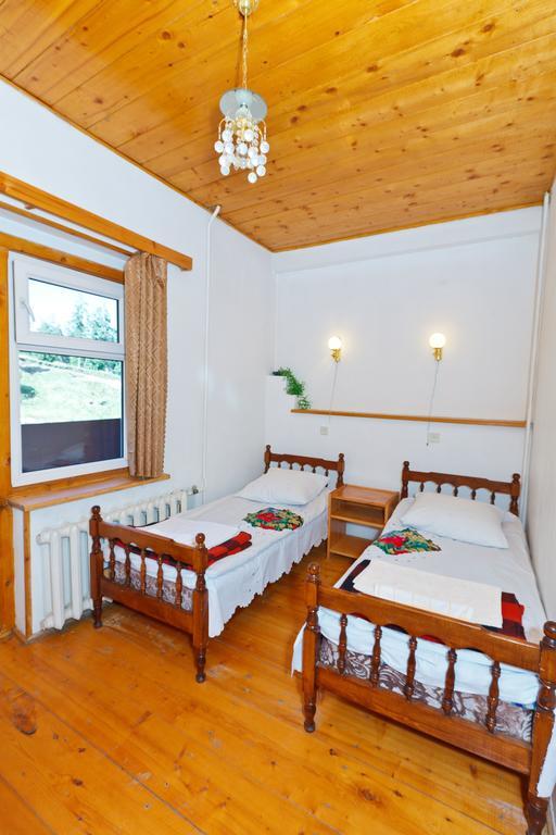 Hotel Apollon Бакуриани Стая снимка